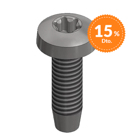 VAN DER VALK Parafuso autorroscante inox M6x20mm - T30