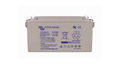 BATERIA DE CHUMBO-ÁCIDO AGM VICTRON DEEP CYCLE 12V 110AH C20